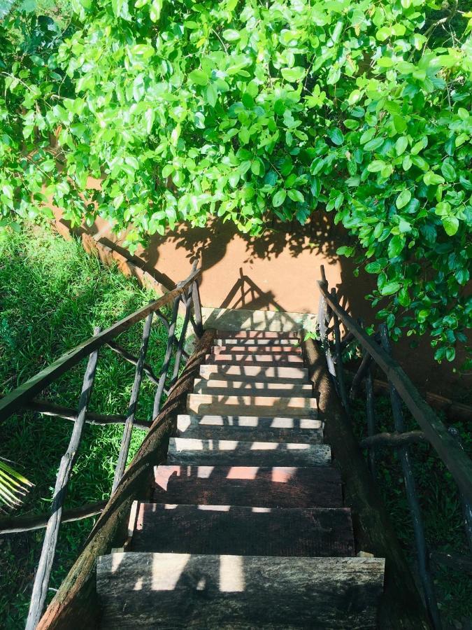 Tree House Hostel 시기리야 외부 사진