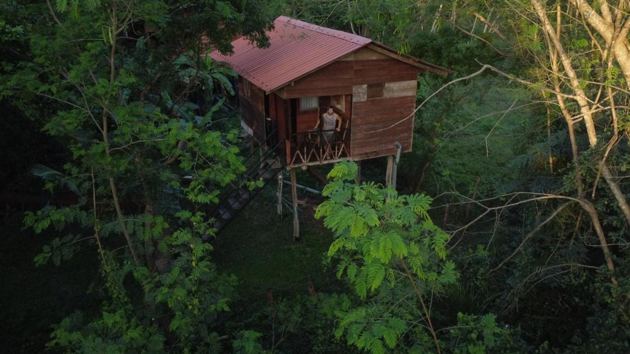 Tree House Hostel 시기리야 외부 사진