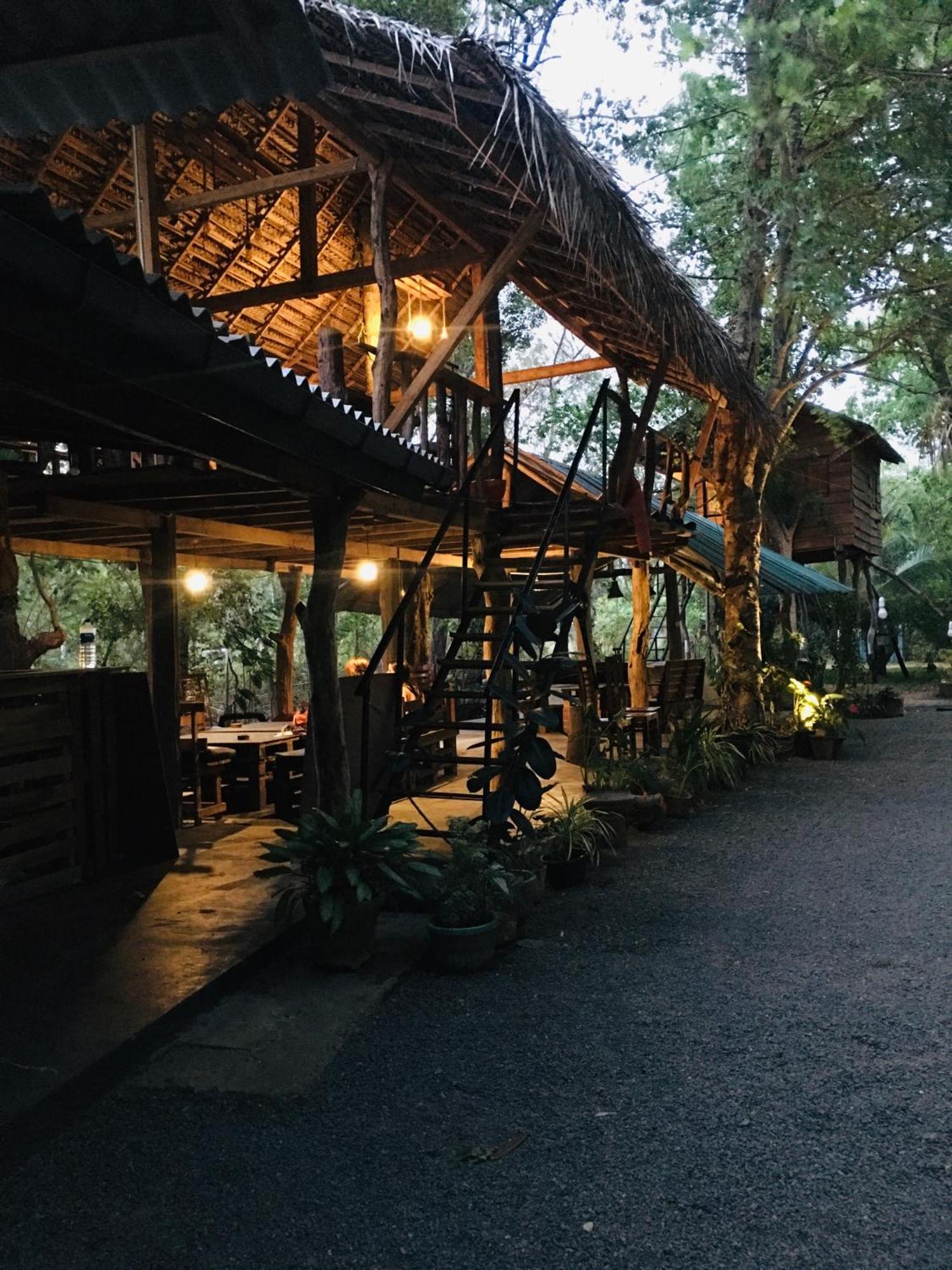 Tree House Hostel 시기리야 외부 사진