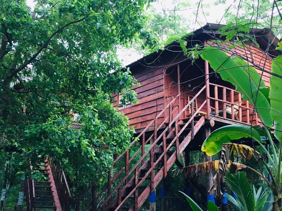 Tree House Hostel 시기리야 외부 사진