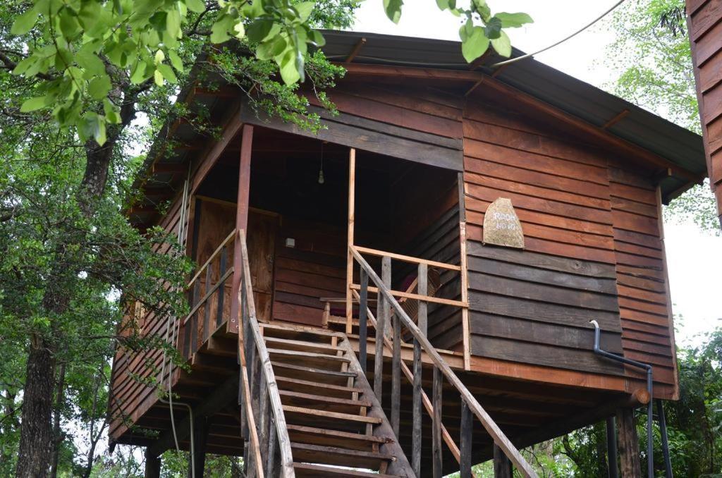 Tree House Hostel 시기리야 외부 사진